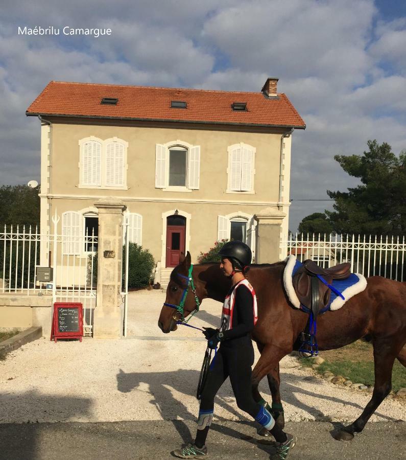 Maebrilu Camargue Provence Bed & Breakfast Salin-de-Giraud Ngoại thất bức ảnh