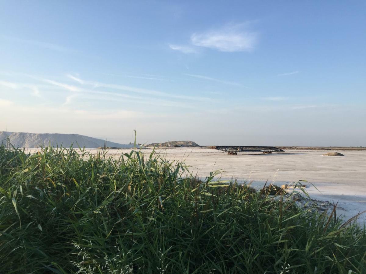 Maebrilu Camargue Provence Bed & Breakfast Salin-de-Giraud Ngoại thất bức ảnh